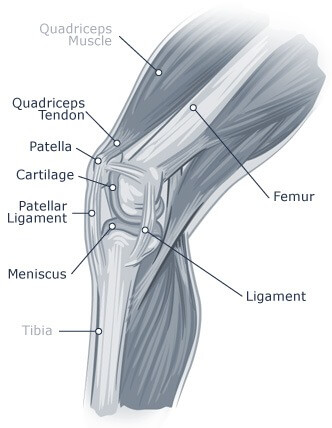 Knee Pain Diagram 2